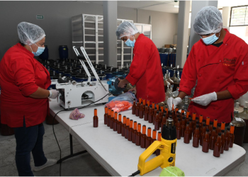 Michoacán supera el medio millón de empleos formales; alcanzó su cifra más alta en febrero