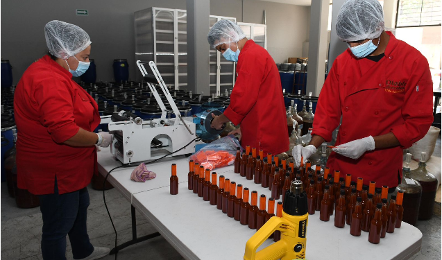 Michoacán supera el medio millón de empleos formales; alcanzó su cifra más alta en febrero