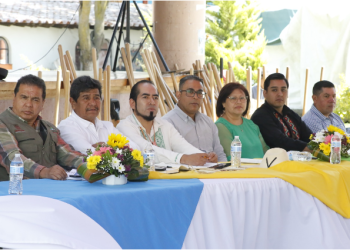 Comunidades indígenas reforestarán de forma autogestiva un millón de árboles en el 2026   