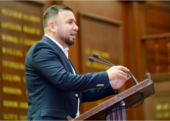 PT en Michoacán acompañará reforma legal denominada Plan B: Reyes Galindo