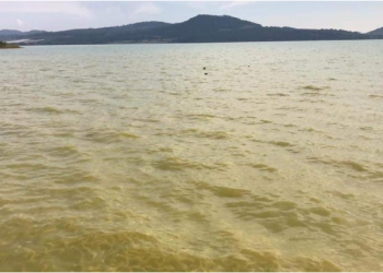 El lago herido de Zirahuén, entre la crisis ambiental y el abandono gubernamental #CSIM 