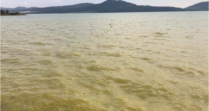 El lago herido de Zirahuén, entre la crisis ambiental y el abandono gubernamental #CSIM 