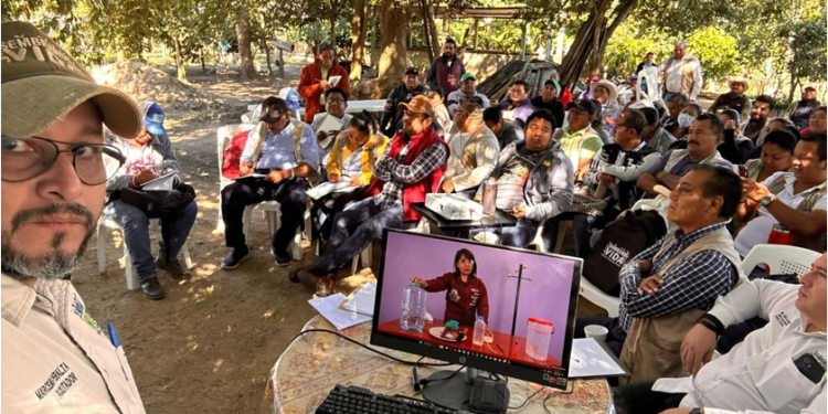 Articula Sembrando Vida equipo multidisciplinario de 422 mil campesinos y 13 instituciones, en estrategia nacional contra el gusano barrenador