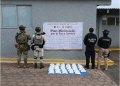 Asegurados 40 kg de metanfetamina en Morelia: SSP