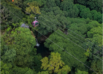 El impacto verde detrás de la gran obra del teleférico de Uruapan