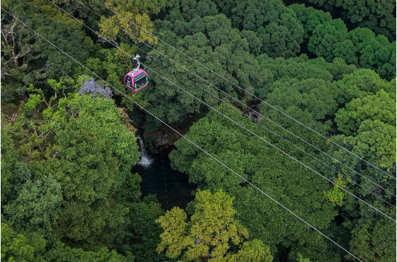 El impacto verde detrás de la gran obra del teleférico de Uruapan