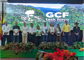 Michoacán se une a la élite mundial contra la deforestación