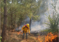 Pátzcuaro no se rinde ante el fuego; incendio en el Estribo ya está 80% controlado