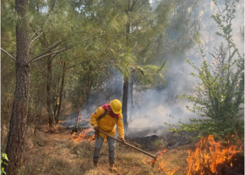 Pátzcuaro no se rinde ante el fuego; incendio en el Estribo ya está 80% controlado