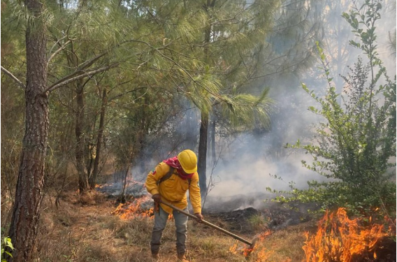 Pátzcuaro no se rinde ante el fuego; incendio en el Estribo ya está 80% controlado