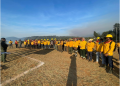 Con apoyo aéreo, 149 brigadistas combaten incendio forestal en Salvador Escalante: Cofom
