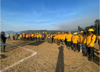 Con apoyo aéreo, 149 brigadistas combaten incendio forestal en Salvador Escalante: Cofom