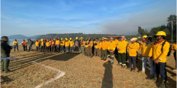 Con apoyo aéreo, 149 brigadistas combaten incendio forestal en Salvador Escalante: Cofom