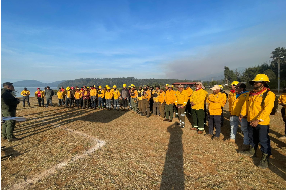 Con apoyo aéreo, 149 brigadistas combaten incendio forestal en Salvador Escalante: Cofom