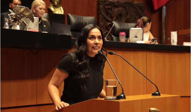 CON LA 4T SE COMENZÓ A RECONSTRUIR EL PAÍS: DIP. MARY CARMEN BERNAL