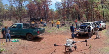 Dispersan 12 mil semillas en Pátzcuaro para restaurar el Estribo Grande