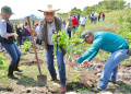 Michoacán va por récord verde; inicia Bedolla campaña para plantar 13 millones de árboles
