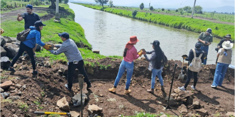 Con 260 presas filtrantes, retienen más de 30 mil metros cúbicos de azolve en lago de Pátzcuaro