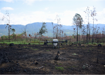 Drones reforestan las zonas más inaccesibles de Michoacán con programa Bio Renace