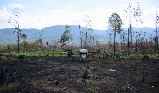 Drones reforestan las zonas más inaccesibles de Michoacán con programa Bio Renace