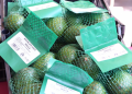 Reconocimiento a la Franja Aguacatera de Michoacán protege más de 150 mil empleos