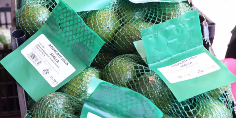 Reconocimiento a la Franja Aguacatera de Michoacán protege más de 150 mil empleos