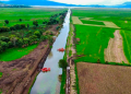 Concluye rehabilitación del canal de Erongarícuaro; recupera más de 3.5 kilómetros de navegación