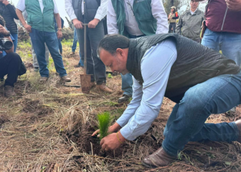 Cuidar nuestros bosques es cuidar el agua, el lago y el futuro de Pátzcuaro: Julio Arreola