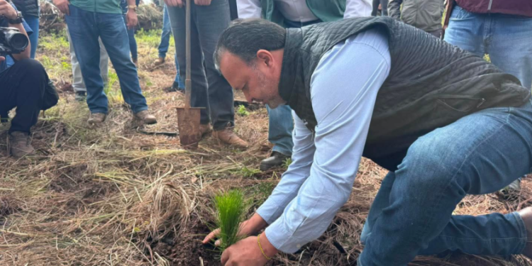 Cuidar nuestros bosques es cuidar el agua, el lago y el futuro de Pátzcuaro: Julio Arreola