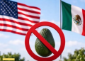 En peligro la exportación aguacate mexicano a EU