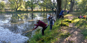 Con obras de conservación, Programa de Empleo Temporal blinda al lago de Pátzcuaro