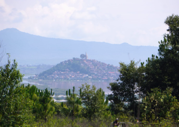 Reforestación en Michoacán, clave para la recuperación de ecosistemas y recursos hídricos