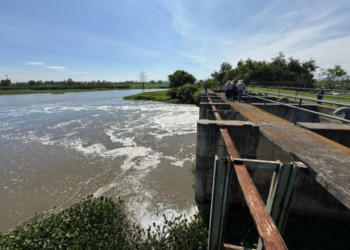 Conagua renovará infraestructura de riego en la Región Ciénega para mitigar inundaciones