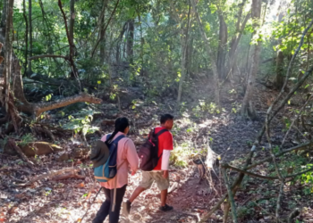 Este verano explora las áreas naturales protegidas de Michoacán en familia