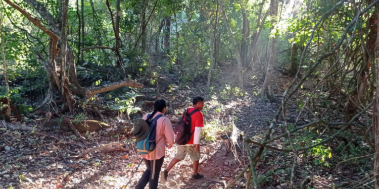Este verano explora las áreas naturales protegidas de Michoacán en familia