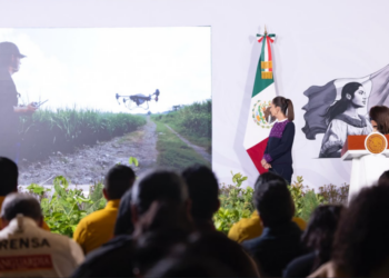 Presidenta presenta la Jornada Nacional de Reforestación 2026; se realizará el 9 de agosto y se plantarán 6.6 millones de árboles y plantas   