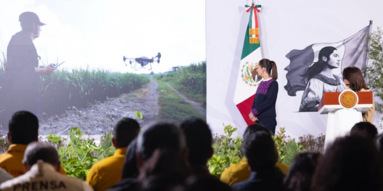 Presidenta presenta la Jornada Nacional de Reforestación 2026; se realizará el 9 de agosto y se plantarán 6.6 millones de árboles y plantas   