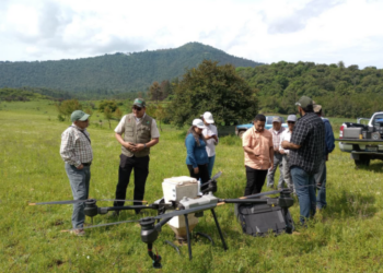 Michoacán rebasa su meta al dispersar 204 mil semillas con tecnología de drones