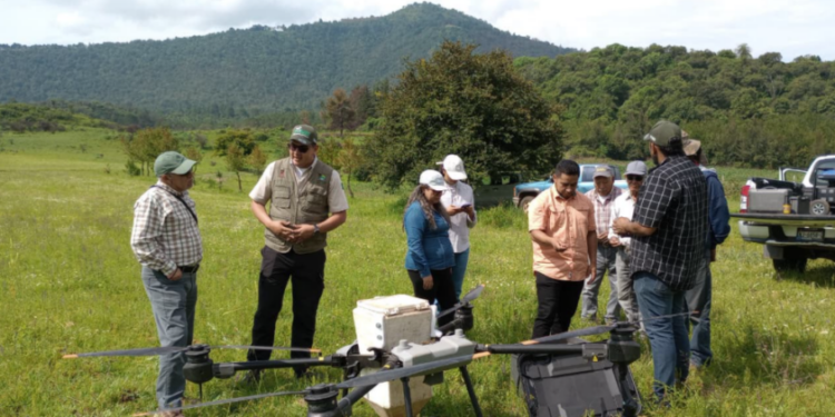 Michoacán rebasa su meta al dispersar 204 mil semillas con tecnología de drones