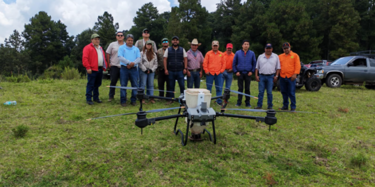 Restauran bosques de Tlalpujahua con la dispersión de 6 mil germoesferas