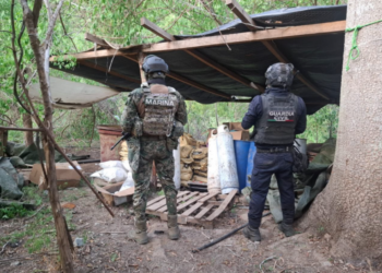 Fuerzas estatales y federales desmantelan laboratorio de drogas sintéticas en Lázaro Cárdenas