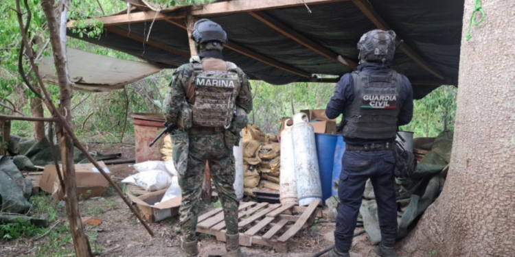 Fuerzas estatales y federales desmantelan laboratorio de drogas sintéticas en Lázaro Cárdenas