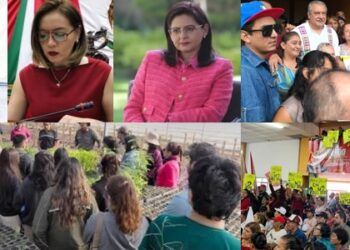 El Artillero Político…    Por: Carlos A. Montaño