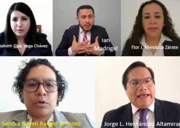 Los ‘mejores’ perfiles para el IEM: Una selección que deja más dudas que certezas
