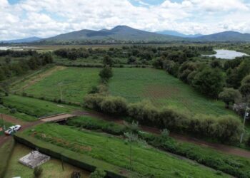 Campo michoacano, principal beneficiado con niveles altos en presas: Conagua Michoacán