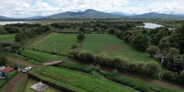 Campo michoacano, principal beneficiado con niveles altos en presas: Conagua Michoacán