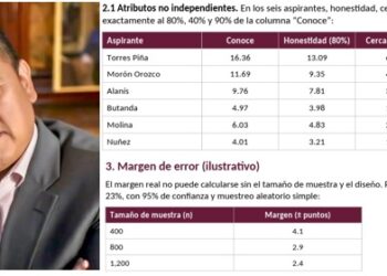 Encuestas de Morena, manipuladas y sin credibilidad; dicen especialistas de la UNAM
